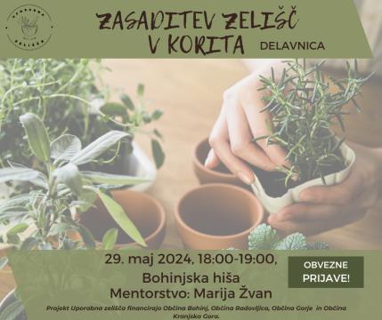 Zasaditev zelišč v korita